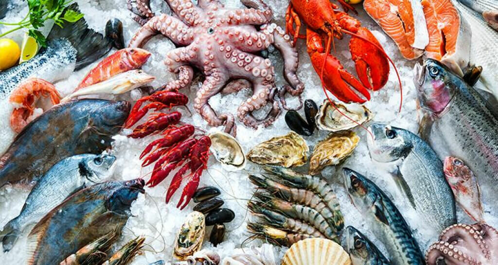 ribarnica-zemun-barakuda