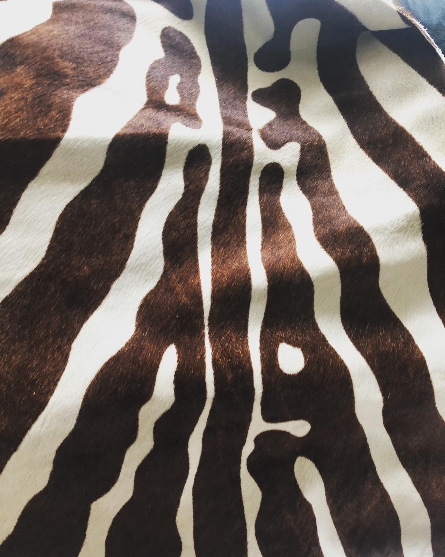 Prodaja Italijanske kože Beograd Konex 1900