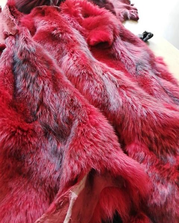 133899153_1057221998113664_6214714706825557065_n