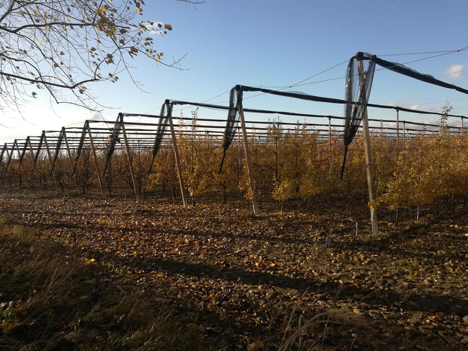 126190773_122615842986629_5238157216263190510_n