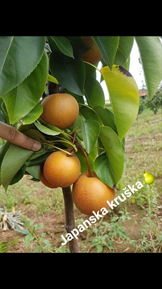 126312697_122410283007185_5102819772852835832_n