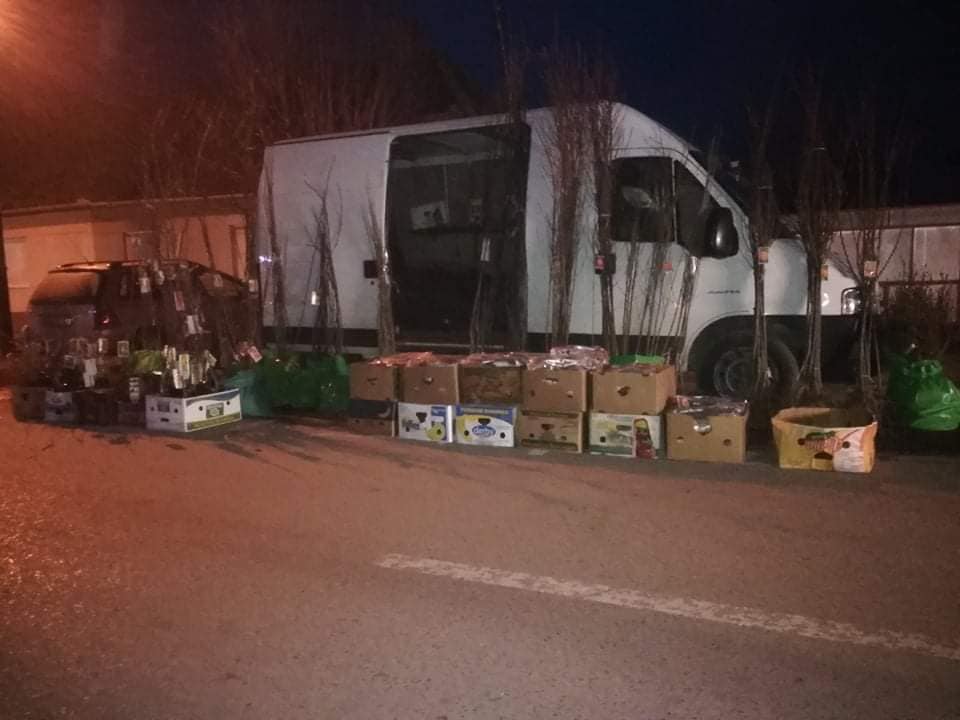 Sadni materijal voća loza Velika Drenova